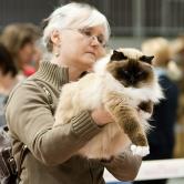 Kuva/Photo: Pekka Savolainen/Kaijus